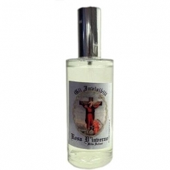 Gli Invisibili - Rosa D'inverno